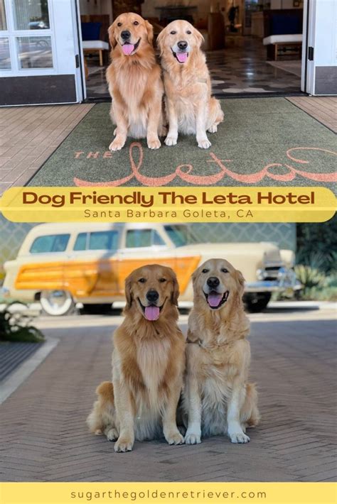 THE 10 BEST Golden Pet Friendly Hotels .